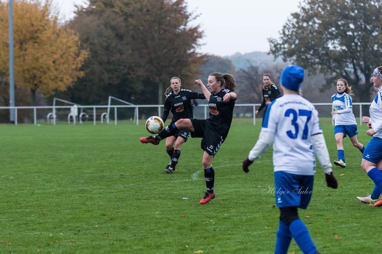 Bild 162 - Frauen SV Henstedt Ulzburg III - Bramstedter TS : Ergebnis: 1:0